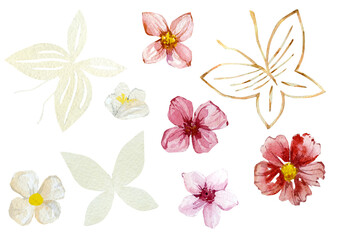 Watercolor flower and butterfly illustration. Woodland botanical illustration for greeting card, wedding card, bridal shower and baby shower, logo design.