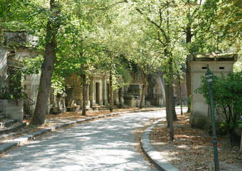Path lined with graves and trees at the cemetery of 