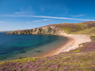 With the headland of Burki Taing in the distance, the sandy beach at Muckle Ayre on the south coast of Muckle Roe,  Shetland, Scotland, UK - taken on a calm, clear day with a blue sky