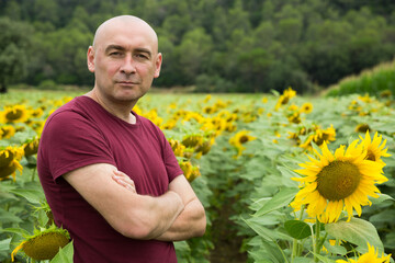 Naklejka na ściany i meble Portrait of confident male farmer standing in sunflowers plantation