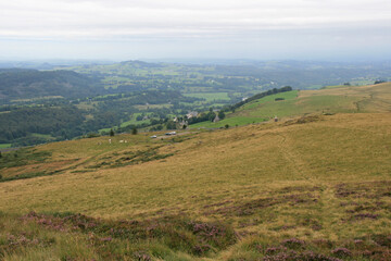 Naklejka premium landscape with hills and prairies in auvergne (france)