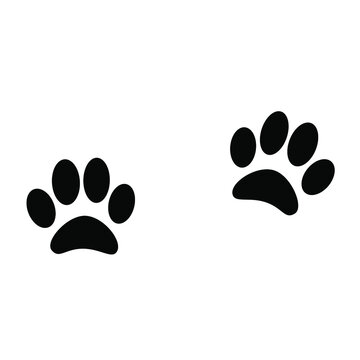 Pet paws print vector illustration on white background. Cat paws