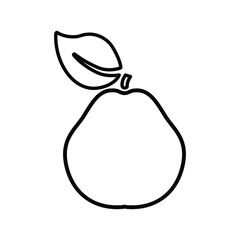 Quince vector icon outline style on white background