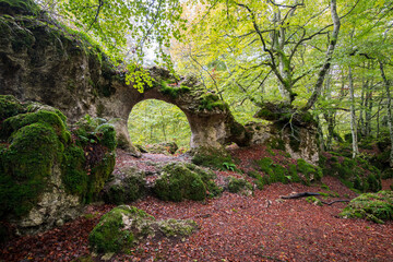 view of arched stone in a forest during autumn season
