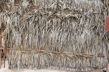 Texture background palm leaves, reed, bamboo or straw.