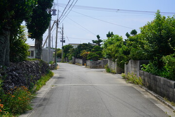沖縄県波照間島の集落沿いの道