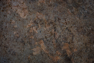 Portrait background, used for green screen replacement background, photographer background