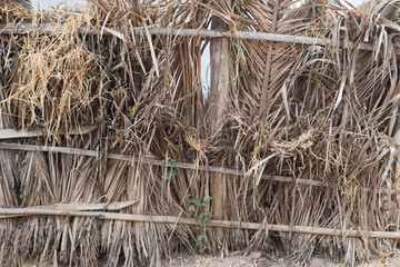 Texture background wall palm leaves, reed, bamboo or straw.