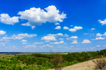 Fototapeta na wymiar Green forest and fields under the blue sky. Summer landscape