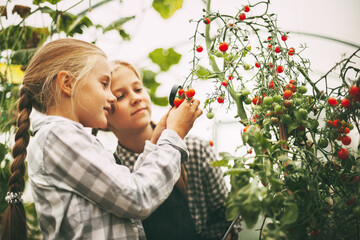 Two beautiful little girls examine small cherry tomatoes through a magnifying glass and write their research on a tablet. Curious children.