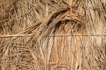 Palm leaves, reed, bamboo, or straw wall texture background.