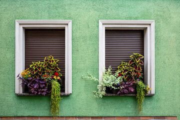 Zwei Fenster an einer grünen Fassade mit geschlossenen  Rollläden und Blumenschmuck