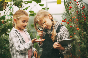 Two cute girls with a tablet in their hands examine a sample of a plant through a magnifying glass. Curious children. Organic pure products