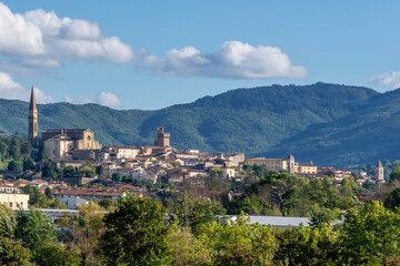 Fototapeta na wymiar Superb panoramic view of the old town of Arezzo, Tuscany, Italy, against a beautiful sky