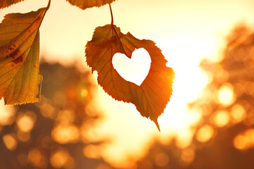 autumn leaf on tree with carved heart at sunset