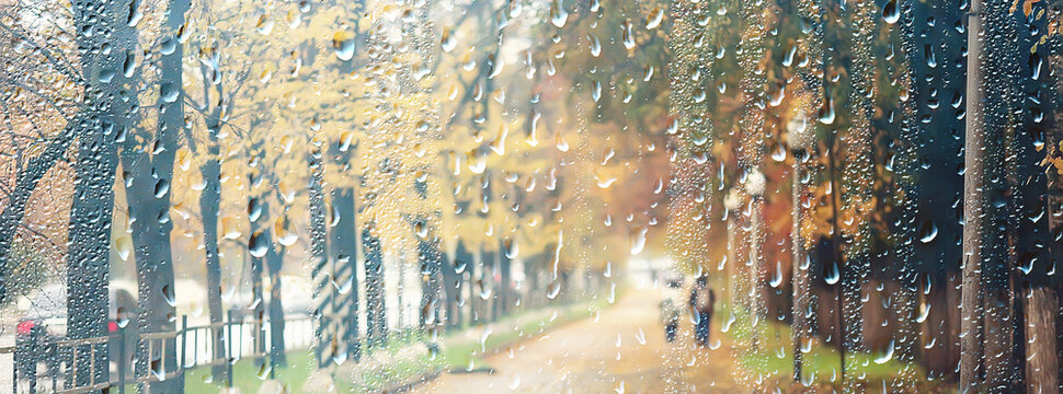 bad weather rain wind, autumn concept background