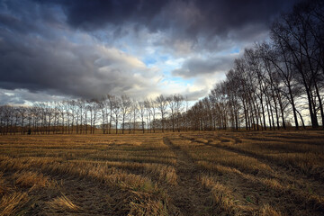 dramatic autumn landscape field sky abstract concept sadness
