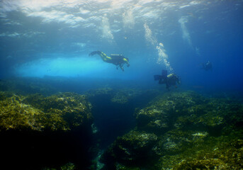 Fototapeta na wymiar underwater scuba diver caribbean sea Venezuela