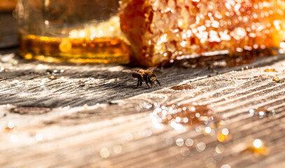 Macro photo of a bee hive on a honeycomb. Sweet honey, pieces of combs and honey dipper.