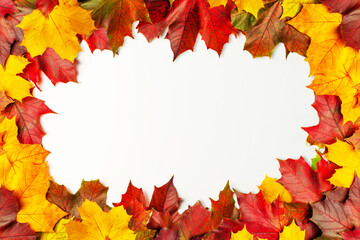 Naklejka na ściany i meble Autumn maple leaves on a white background. Frame for text. Flat lay, top view, copyspace