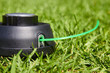 New reel for a lawn mower,on the grass a new coil with a nylon cord