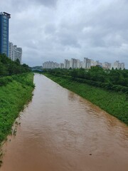 river in the city