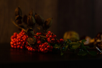 Vogelbeeren, Hülsen und Kastanien auf einem Holztisch drapiert