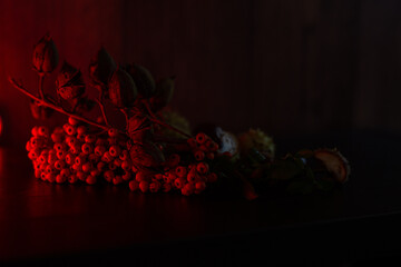 Vogelbeeren, Hülsen und Kastanien die auf einem Holztisch drapiert sind und von rotem Licht...