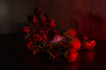 auf einem Tisch drapierte Kastanien, Vogelbeeren und Hülsen die von rotem licht beleuchtet werden