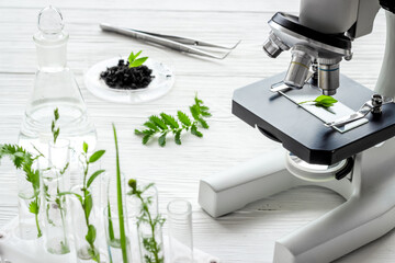 Microscope and plants on a table in scientific laboratory. Agriculture concept