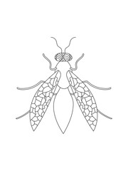 Wasp coloring book for children and adults. doodle drawing, zen art. Black and white drawing. Outline illustration. Printing in the nursery.