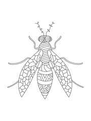 Wasp coloring book for children and adults. doodle drawing, zen art. Black and white drawing. Outline illustration. Printing in the nursery.