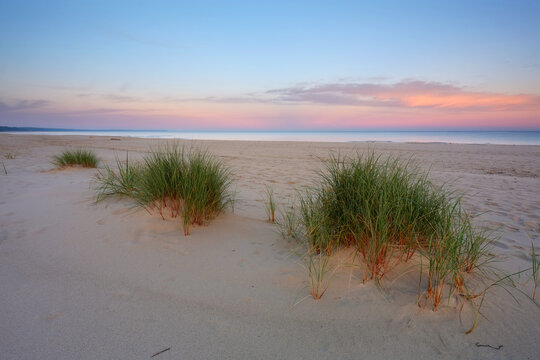 Fototapeta Wschód słońca na wybrzeżu Morza Bałtyckiego,plaża, wydmy,Kołobrzeg,Polska.
