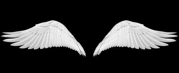 White wings on a black background, easy to use material © Thomas