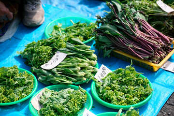朝市　野菜