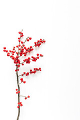 Minimal seasonal composition. Pattern of branch with red berries on isolated white background. Christmas holidays, winter concept. Copy space, flat lay, top view.