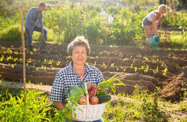 Portrait of elderly woman posing with basket full of harvested vegetables and greens at smallholding
