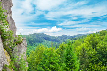 Fototapeta na wymiar High cliffs in green forest by blue sky in in Eastern Beskids national nature park, Ukraine