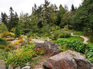 Jardin d'altitude en automne du Haut Chitelet dans les Vosges françaises.