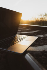 Laptop, computer in the forest, natural scenery, nature, sunset, summer