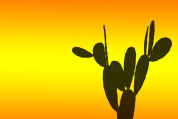 Abstract background. Black shadow of succulent cactus on orange and yellow gradiented background.