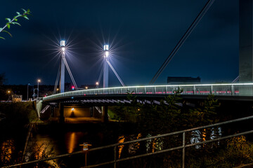 Bamberger Löwenbrücke bei Nacht