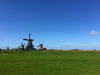 Fototapeta premium dutch historic windmills on meadow at blue sky, in Zaanse Schans, North Holland, Netherlands