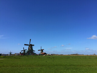 Fototapeta premium dutch historic windmills on meadow at blue sky, in Zaanse Schans, North Holland, Netherlands