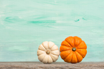 Pumpkin decoration Autumn background Thanksgiving