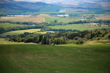 Traditional landscape of the Tuscany , Italy