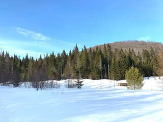 Snowy landscape in a forest in Quebec, Canada