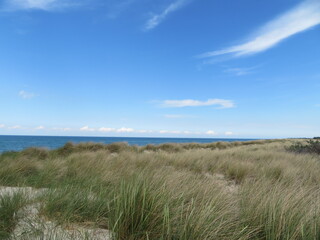 sand dunes and grass at baltic sea