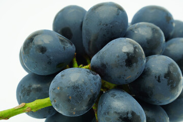 ナガノパープル