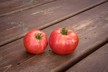 ripe, organic tomatoes on a wooden table in the garden